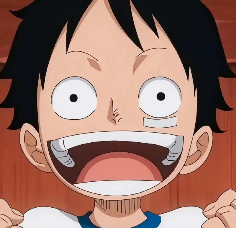 ảnh luffy cười ngầu 2