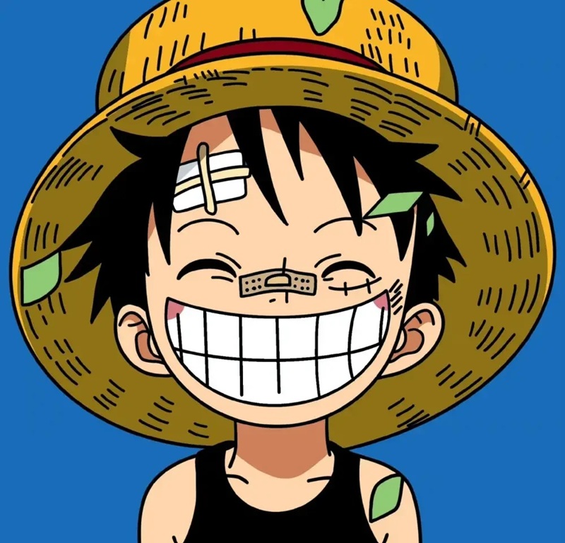 ảnh luffy cười ngầu 23