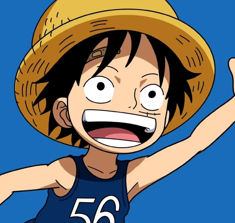 ảnh luffy cười ngầu 24