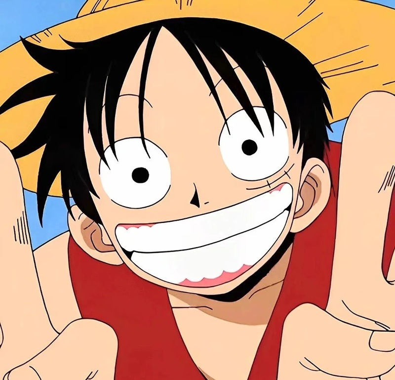 ảnh luffy cười ngầu 25