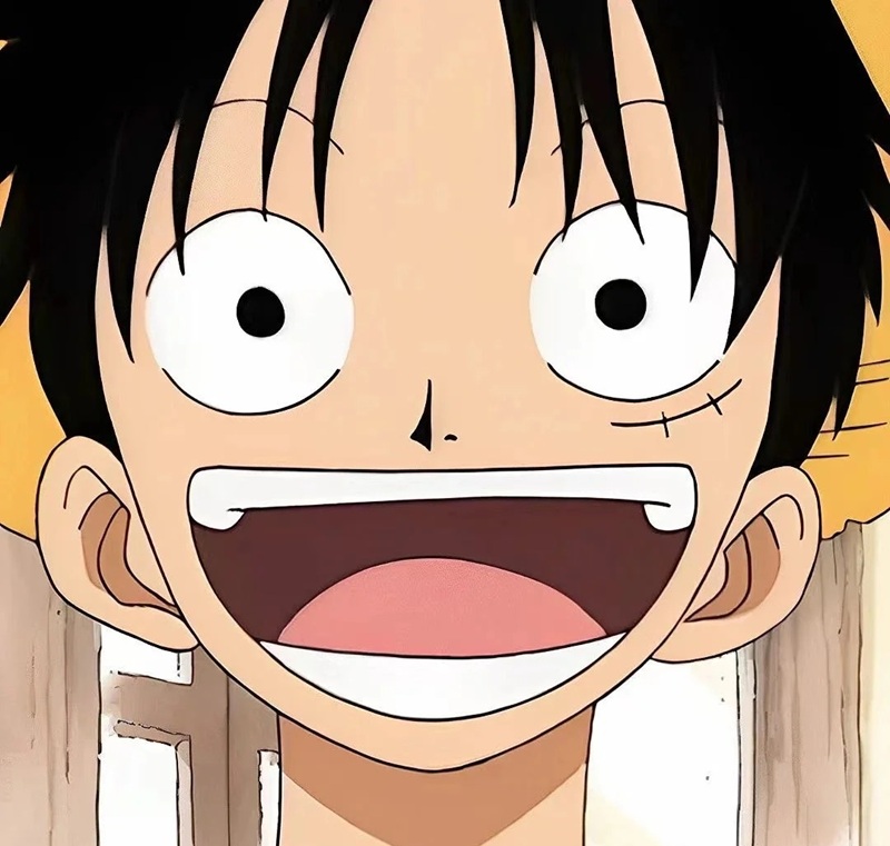 ảnh luffy cười ngầu 26