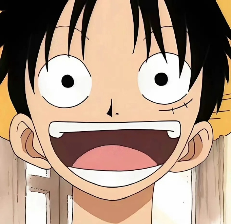 ảnh luffy cười ngầu 3