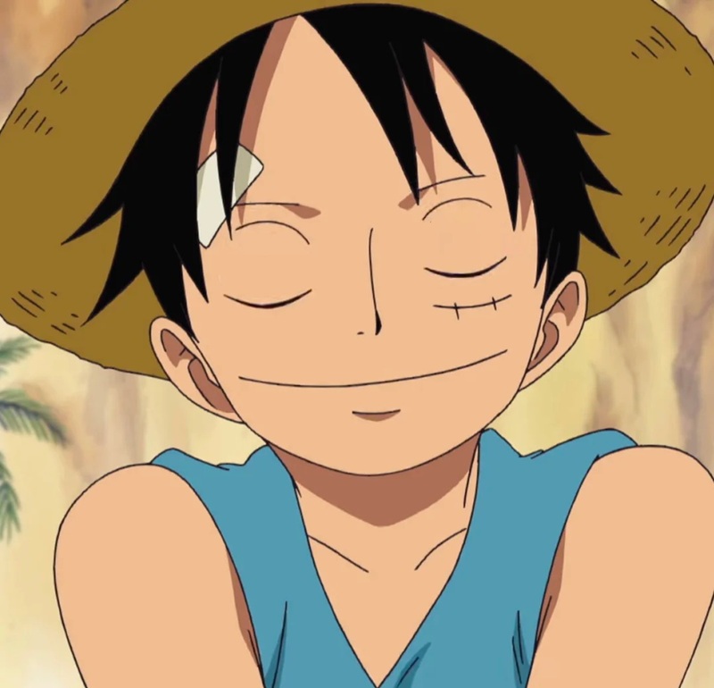 ảnh luffy cười ngầu 35