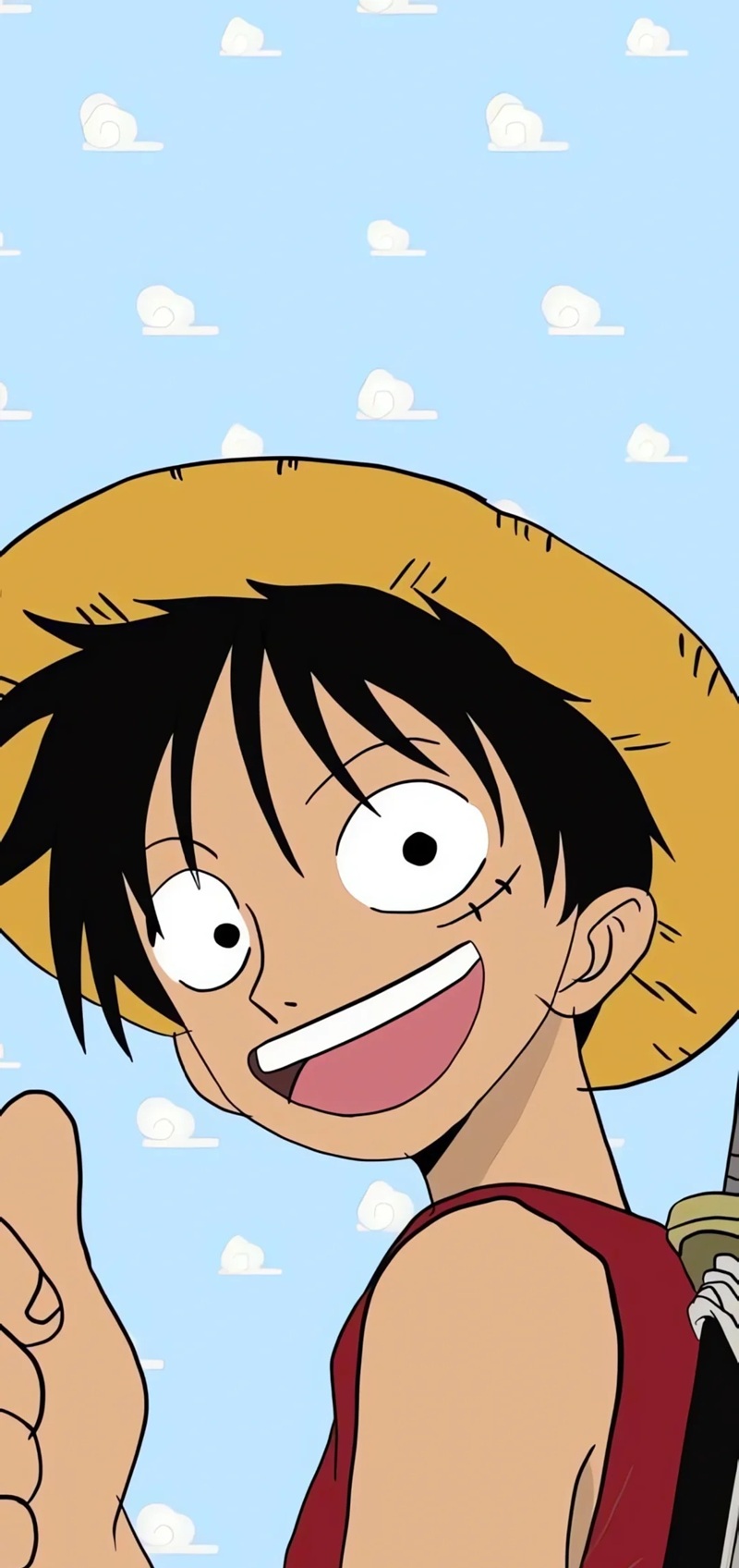 ảnh luffy cười ngầu 41