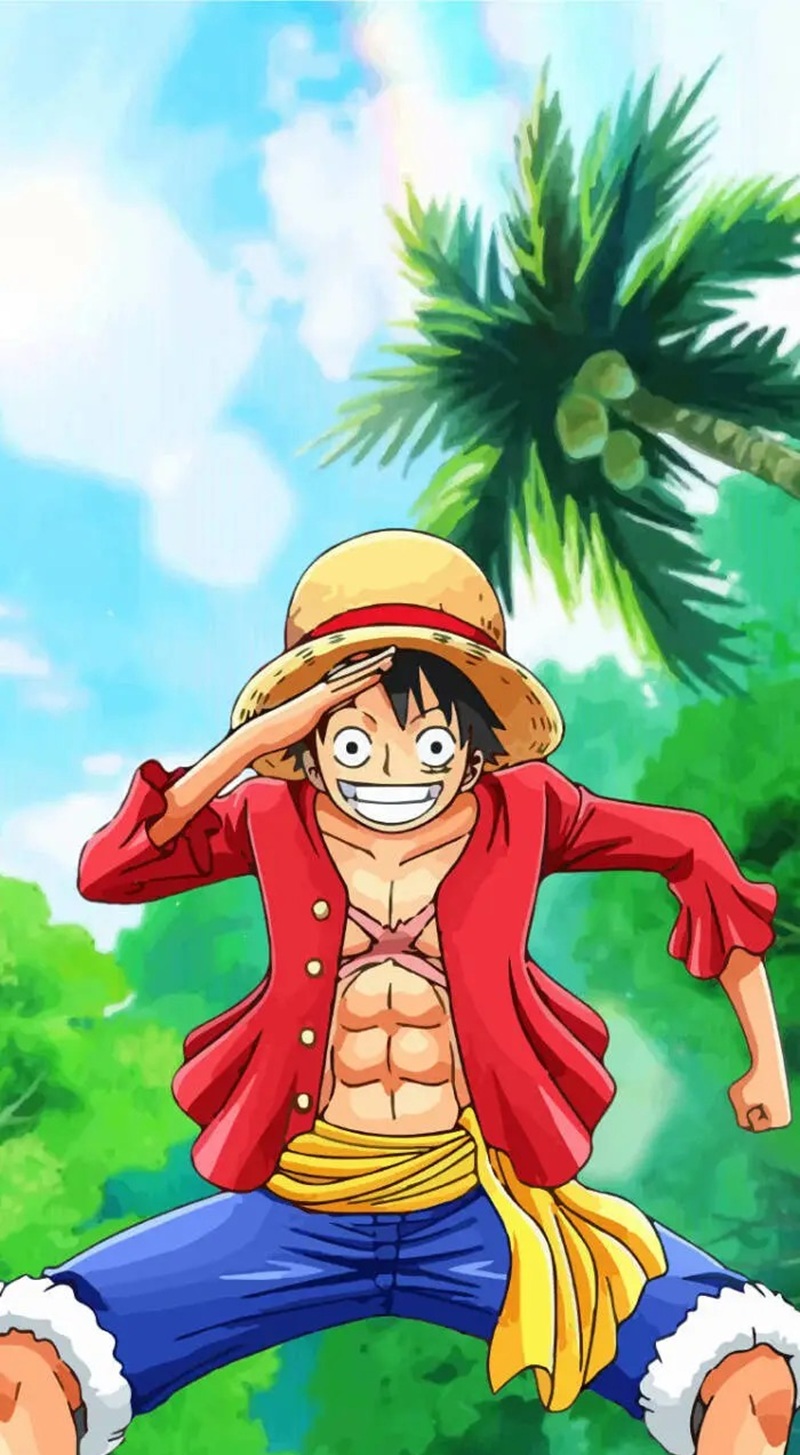 ảnh luffy cười ngầu 6