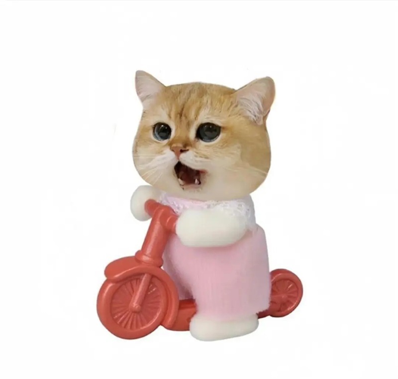 ảnh mèo bựa cute 15