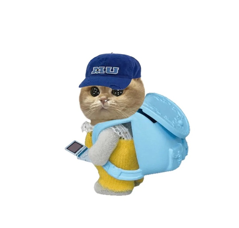 ảnh mèo bựa cute 22
