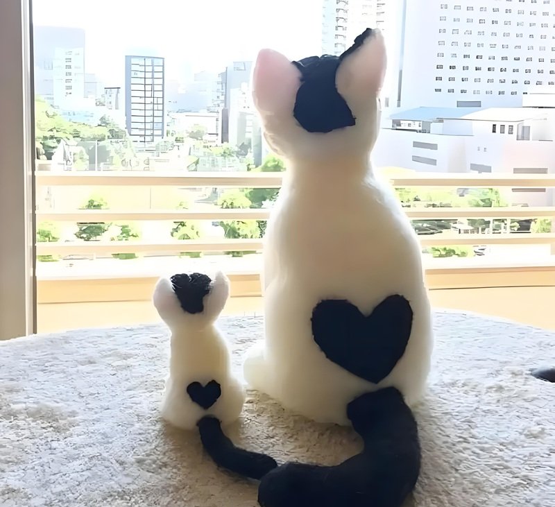 ảnh mèo cute có trái tim 16