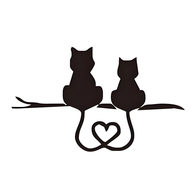 ảnh mèo cute có trái tim 31