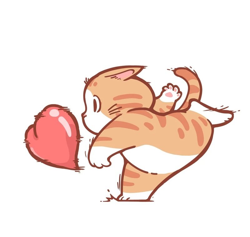 ảnh mèo cute có trái tim 8