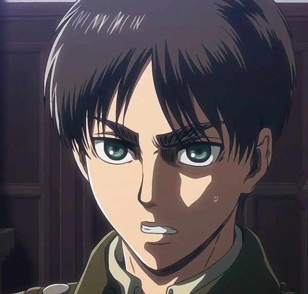 avatar eren yeager 10
