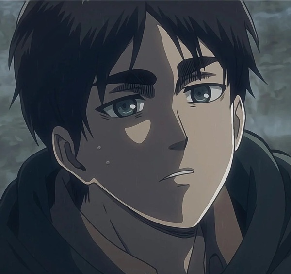 avatar eren yeager 12