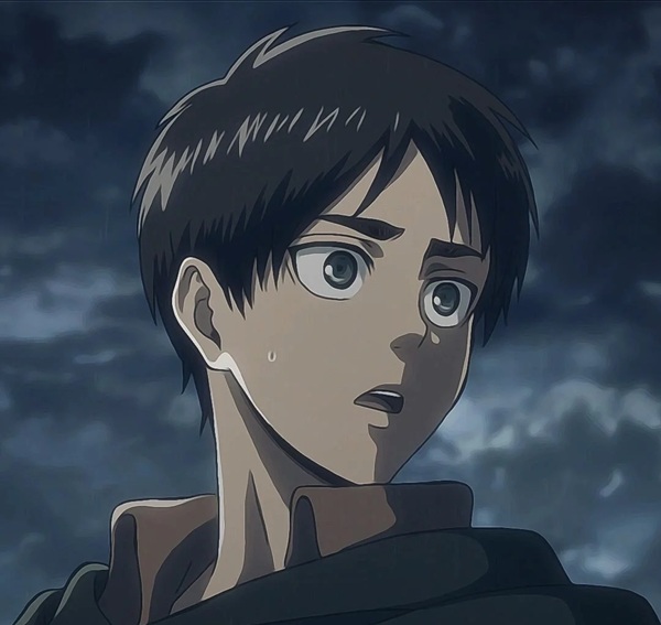 avatar eren yeager 13