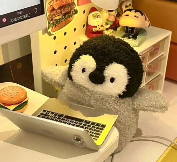 ảnh avatar ôn thi 11