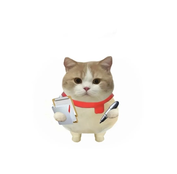 ảnh avatar ôn thi 28