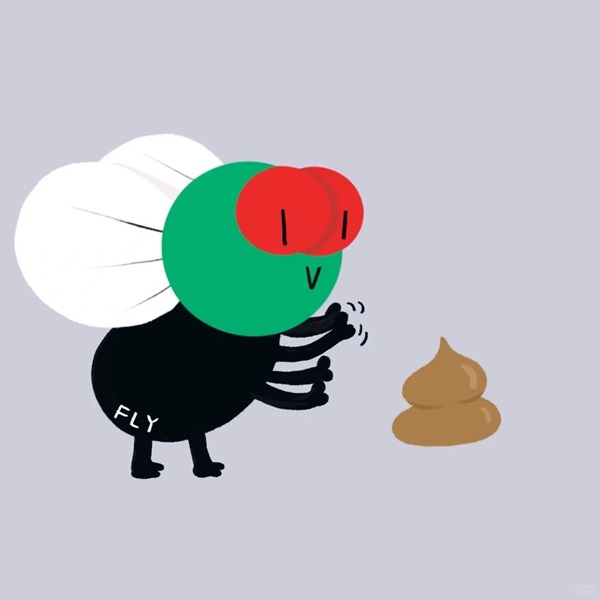 avatar ruồi bâu 17
