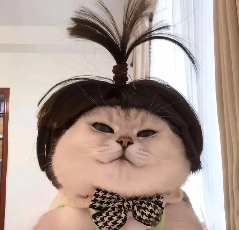 avatar tiktok vô tri 37