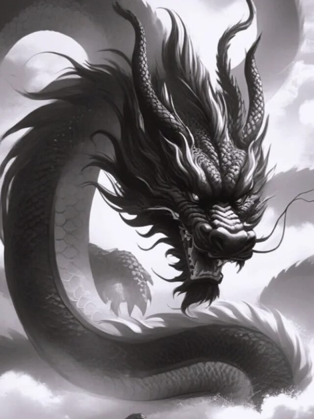 ảnh rồng đen 16