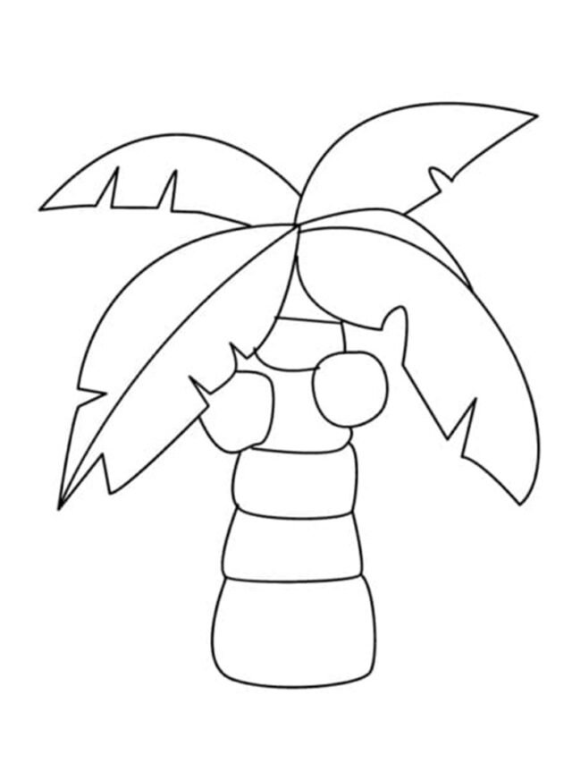 tranh tô màu cây dừa