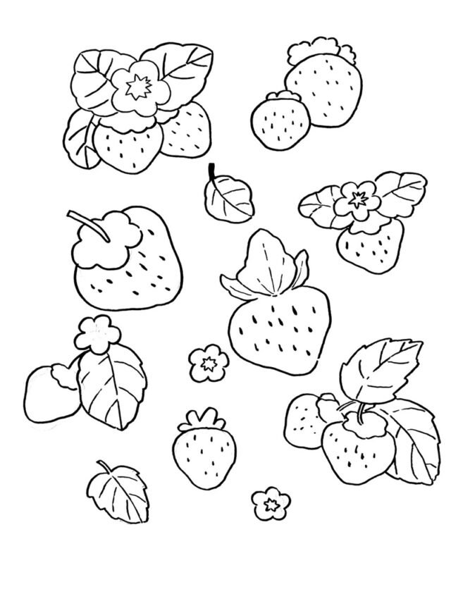 tranh tô màu quả dâu tây
