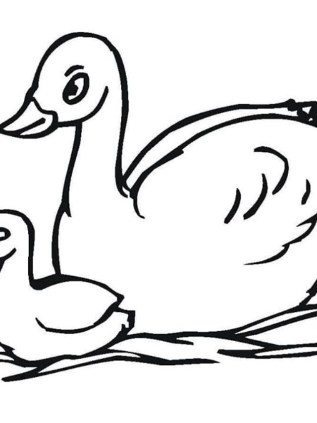 tranh tô màu con thiên nga 32