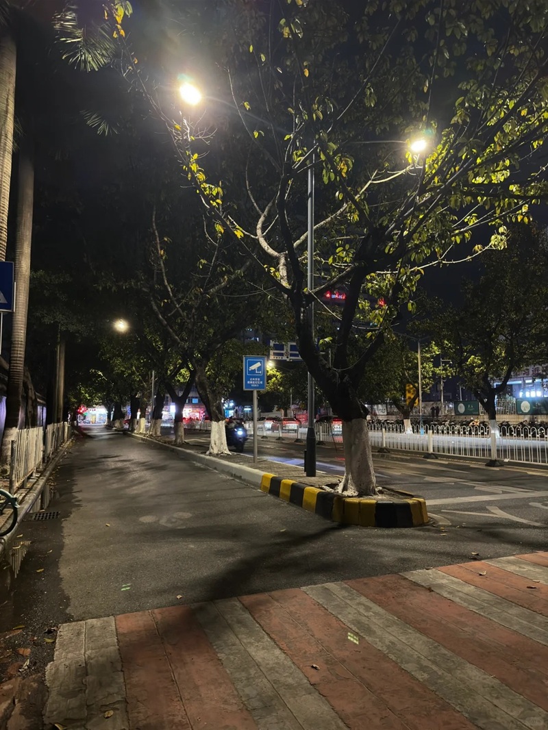 hình ảnh chill đường phố 19