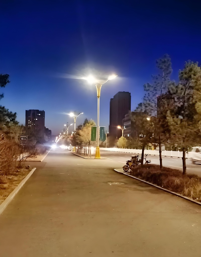 hình ảnh chill đường phố 33
