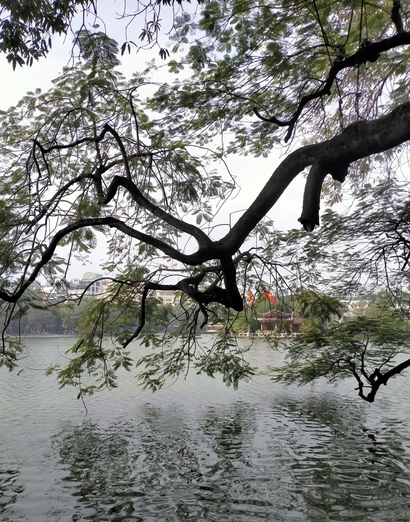 hình ảnh hồ gươm 27