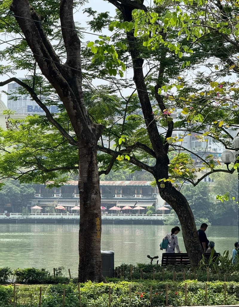 hình ảnh hồ gươm 6