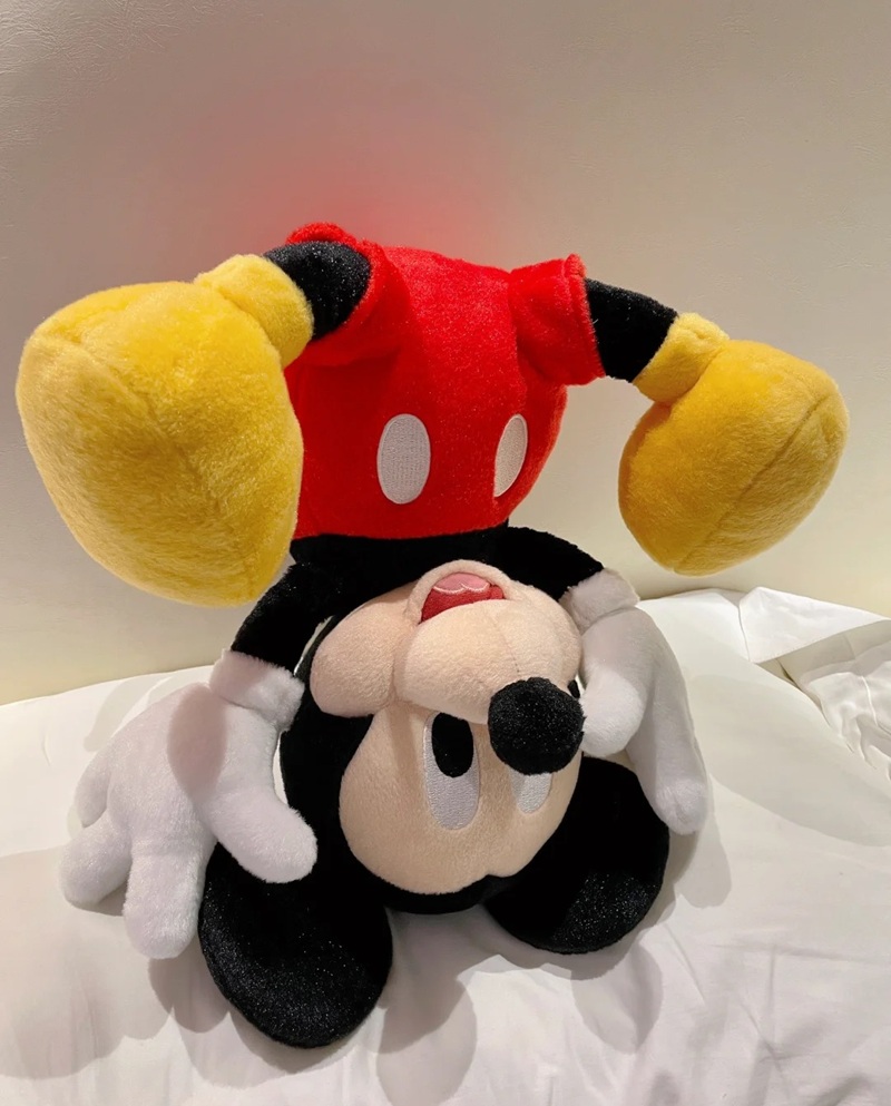 hình ảnh mickey 15