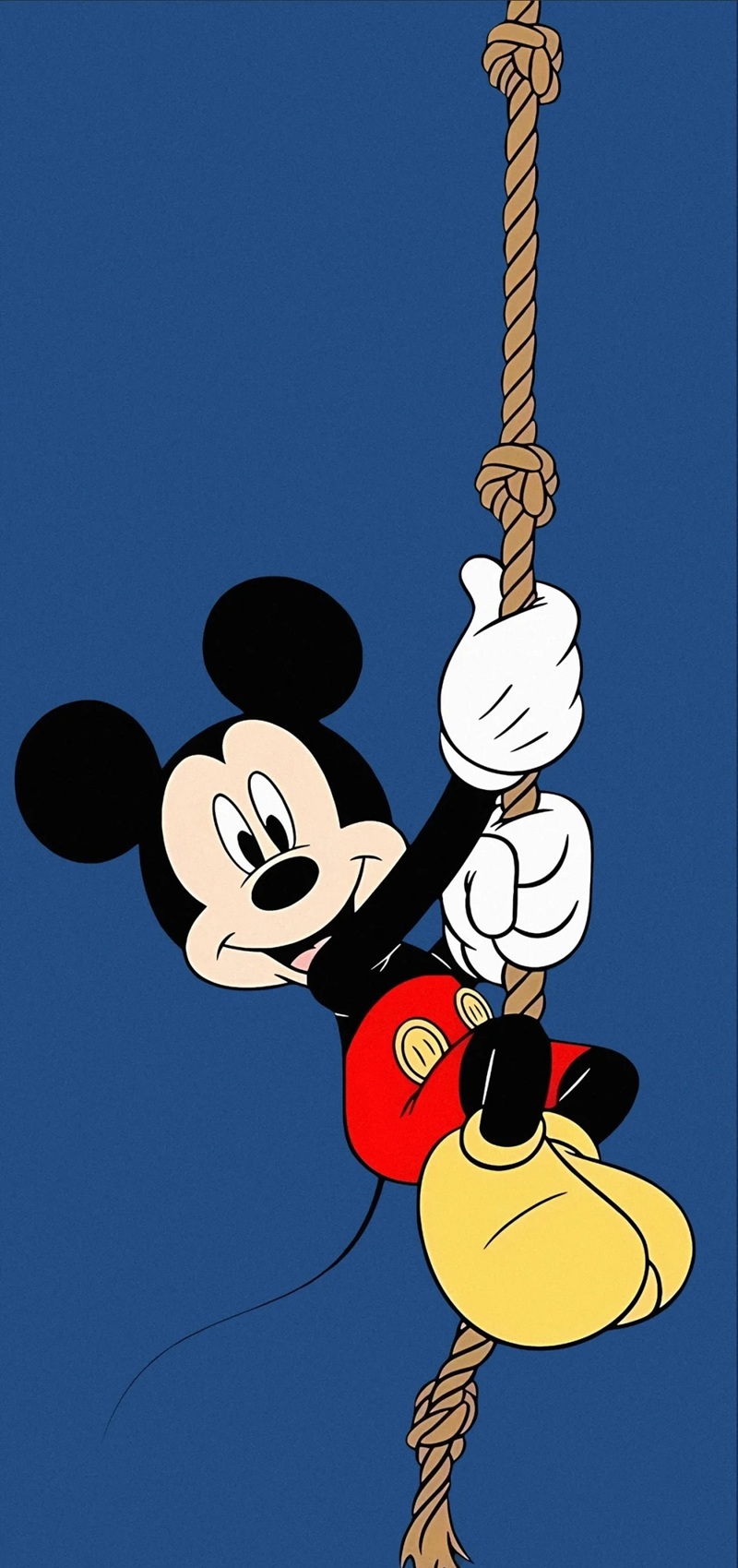 hình ảnh mickey 28