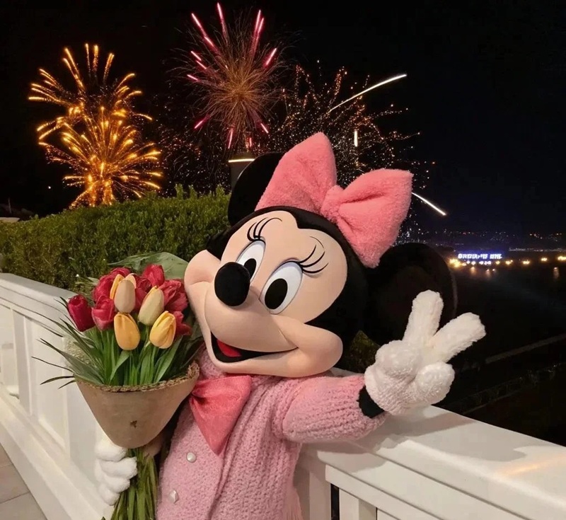 hình ảnh mickey 33