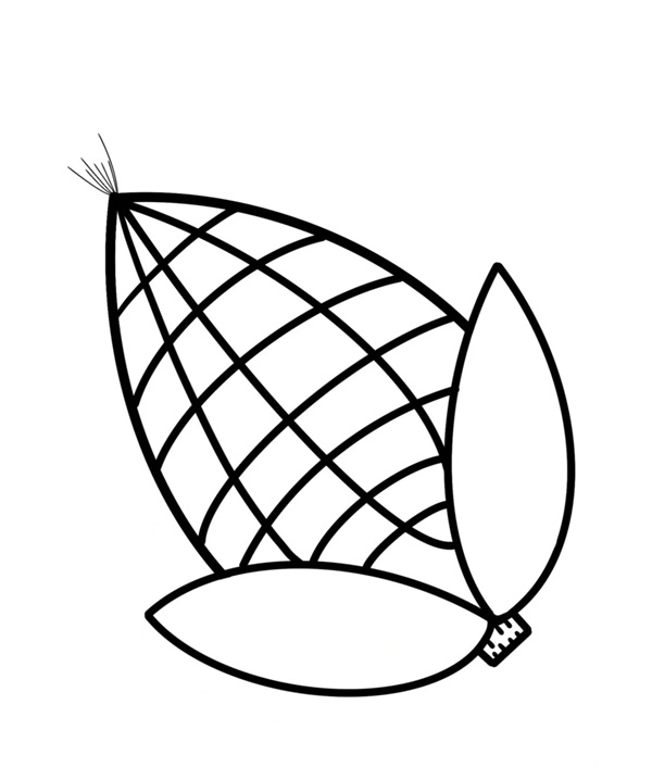 tô màu bắp ngô 2