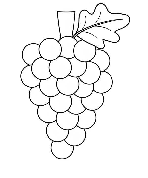 tranh tô màu chùm nho 24