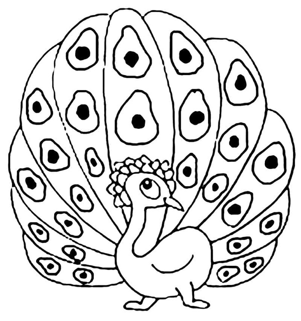 tranh tô màu con công 15