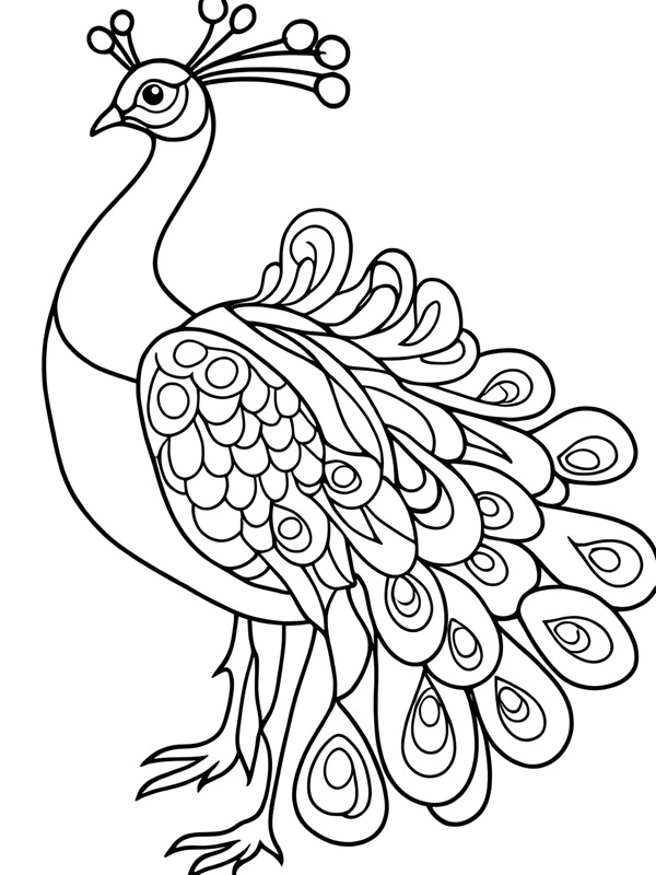 tranh tô màu con công 3