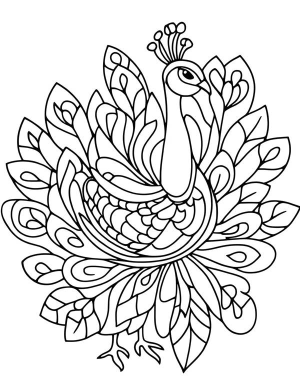 tranh tô màu con công 6 
