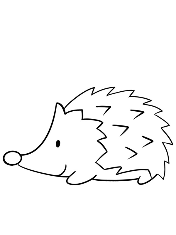 tô màu con nhím 1