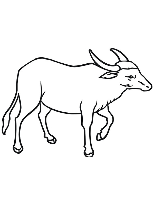 tranh tô màu con trâu 36