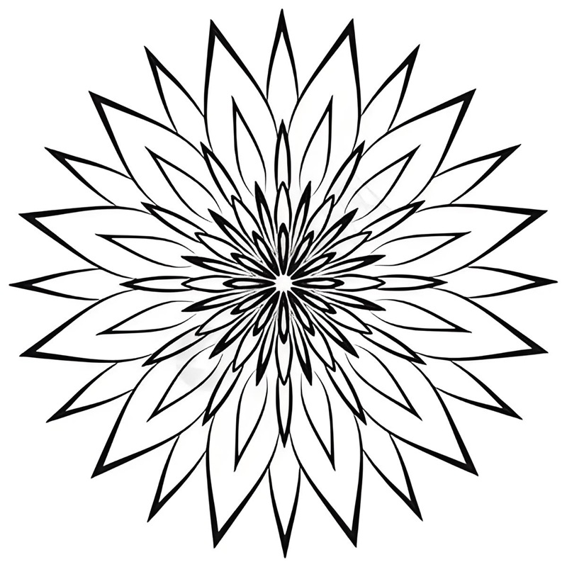 tranh tô màu mandala 2