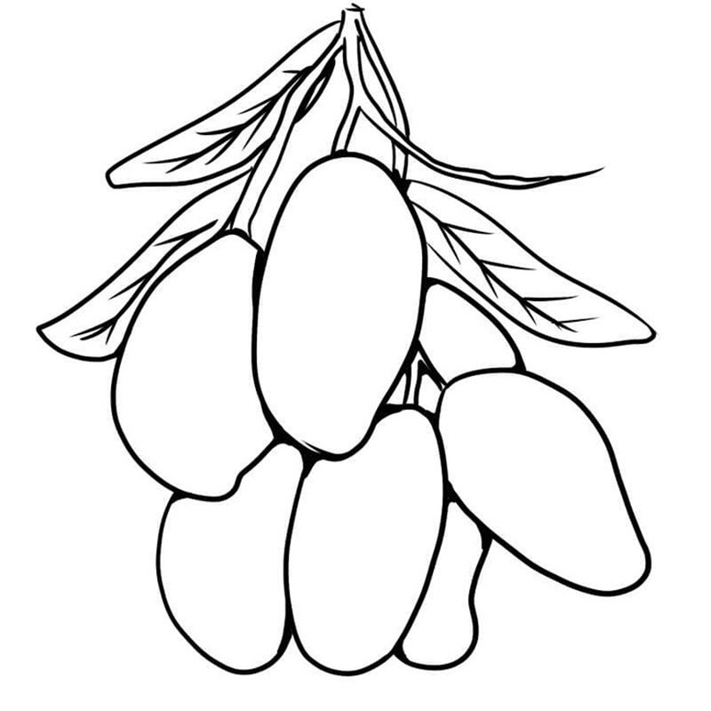 tranh tô màu quả xoài 34