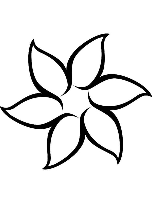 tranh tô màu bông hoa 6 cánh 13