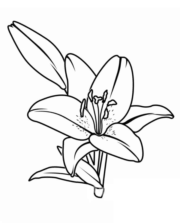 tranh tô màu bông hoa 6 cánh 29