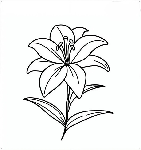 tranh tô màu bông hoa 6 cánh 6