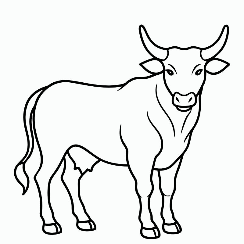 tranh tô màu con bò 10