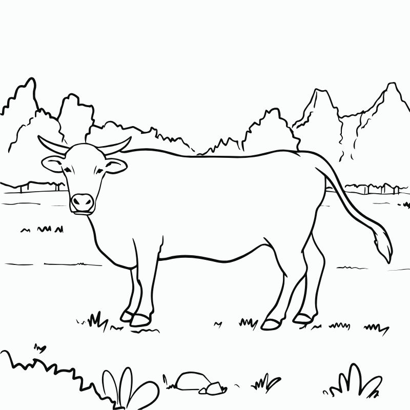 tranh tô màu con bò 9