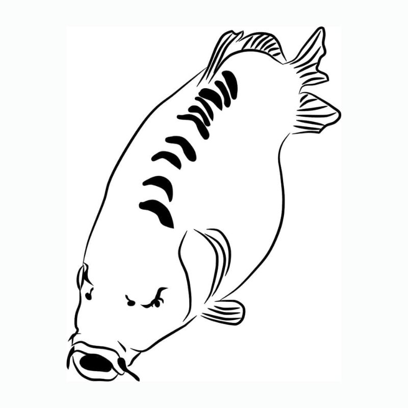 tranh tô màu con cá chép 22