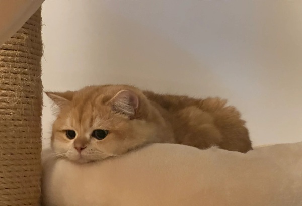 hình ảnh chán đời 18
