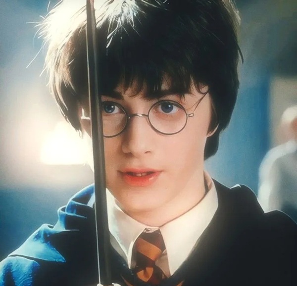  hình ảnh harry potter 13