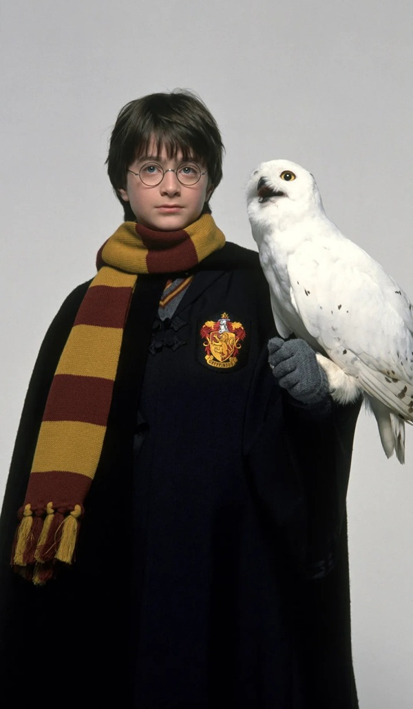  hình ảnh harry potter 16